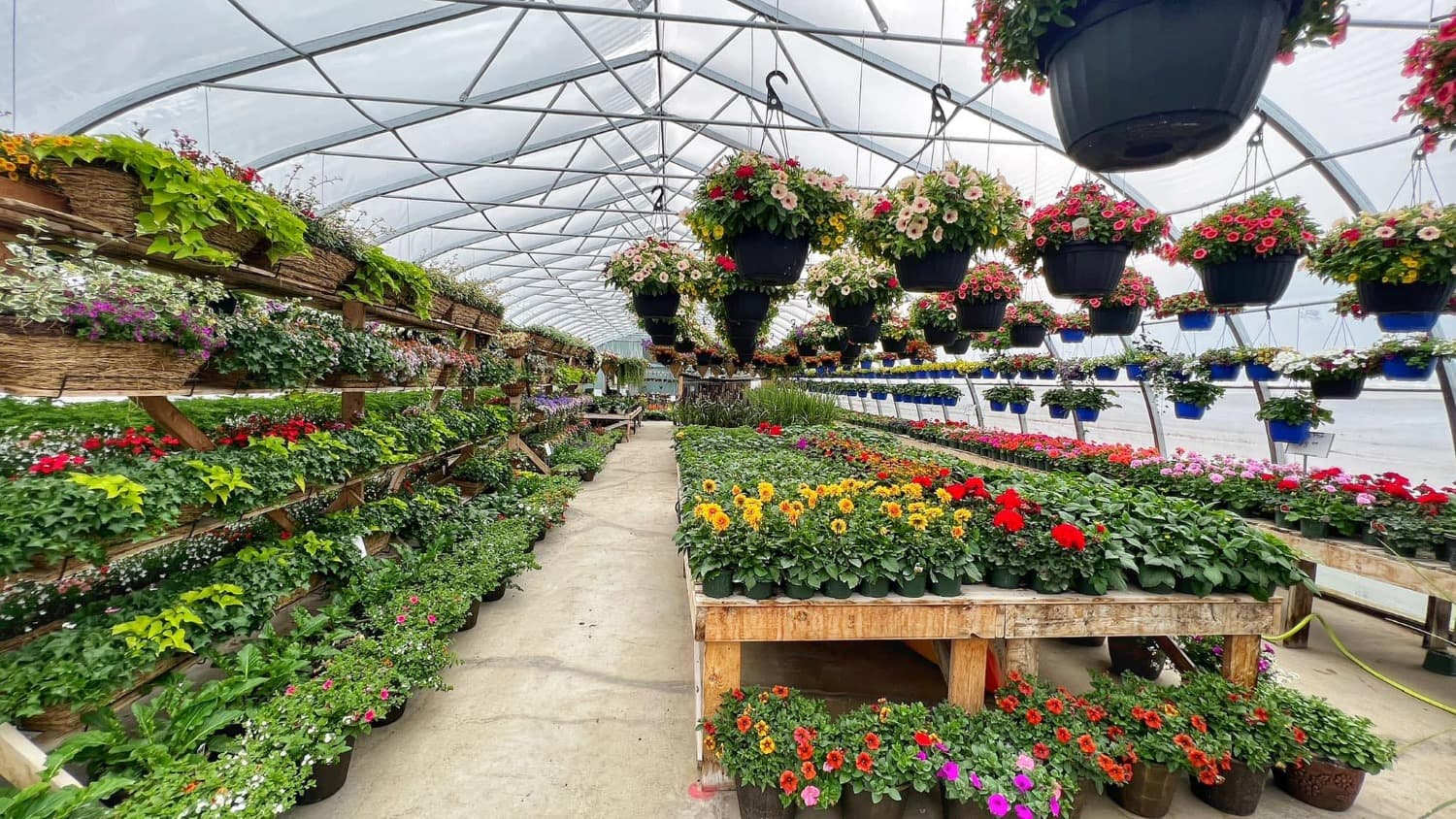 Touch of Green Greenhouse Ardmore