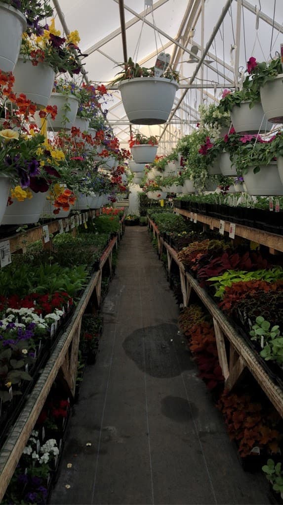 Owlseye Greenhouses & Gardens